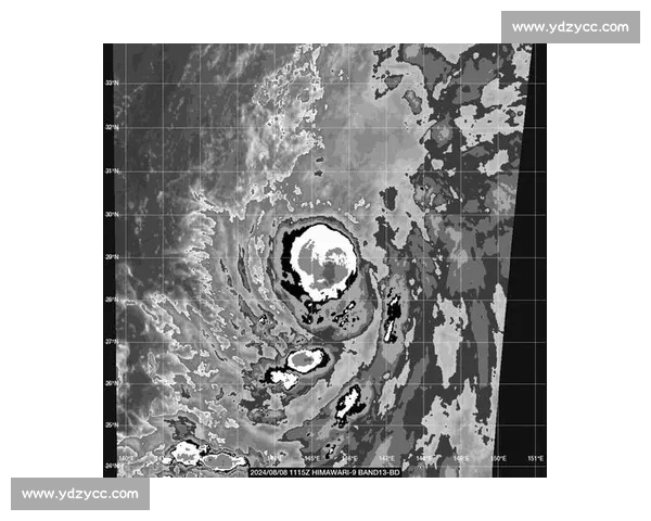 飓风vs极端天气对抗下的城市韧性与未来防灾挑战探索路径研究